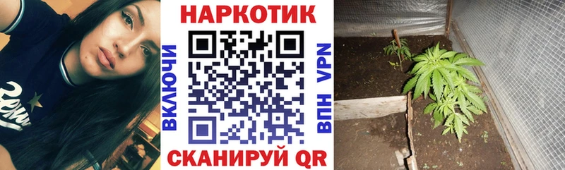 Сколько стоит Рыбное Амфетамин  МЕГА онион  Конопля  ГАШИШ 