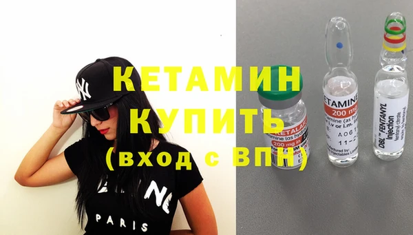 индика Алексин