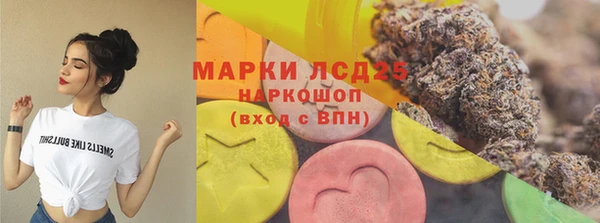 индика Алексин