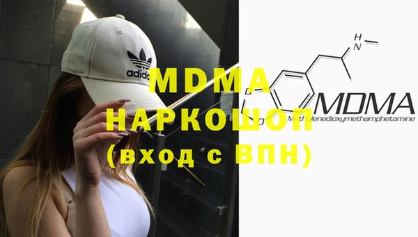 индика Алексин