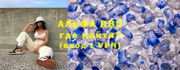 индика Алексин