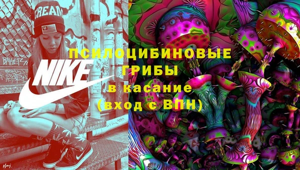 индика Алексин