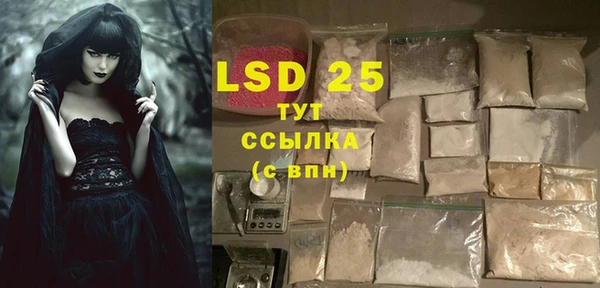 индика Алексин