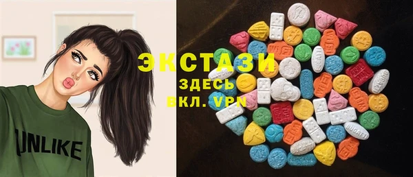 индика Алексин